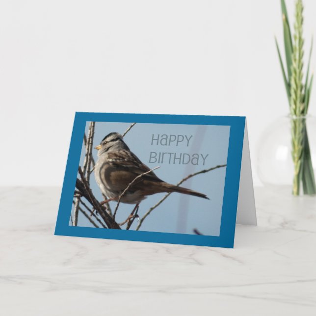 Winter Bird Happy Birthday Card (Front)
