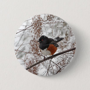 Winter Bird in the Snow 6 Cm Round Badge