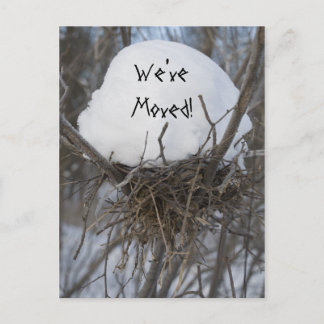 Winter Bird Nest Change of Address Announcement Postcard