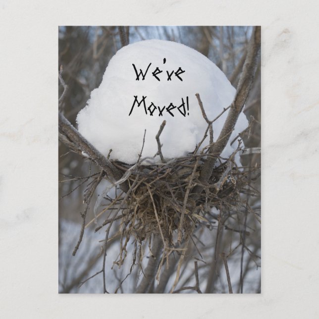 Winter Bird Nest Change of Address Announcement Postcard (Front)