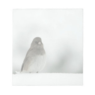 Winter Bird Notepad
