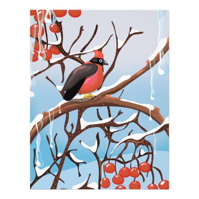 winter bird photo print (Front)