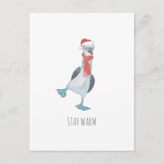 Winter bird postcard