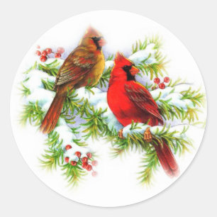 Winter Bird Stickers