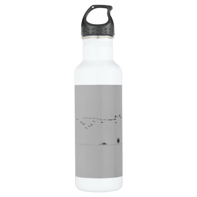 Winter birds 710 ml water bottle (Front)
