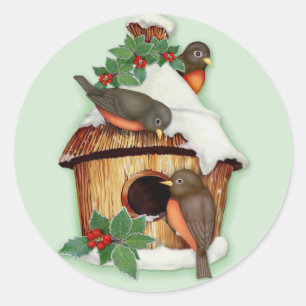 Winter Birds and Birdhouse Classic Round Sticker