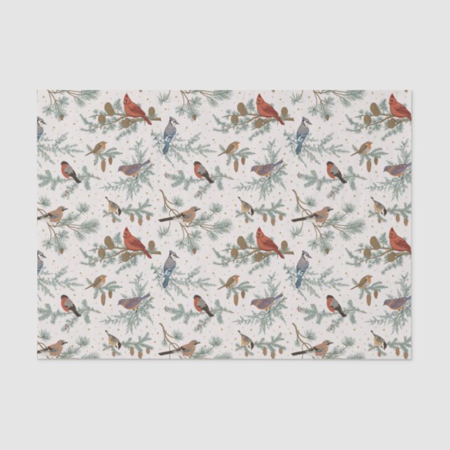 Winter Birds and Pine Branches Pattern Tissue Paper (Front)