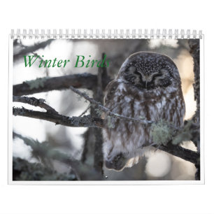 Winter Birds Calendar