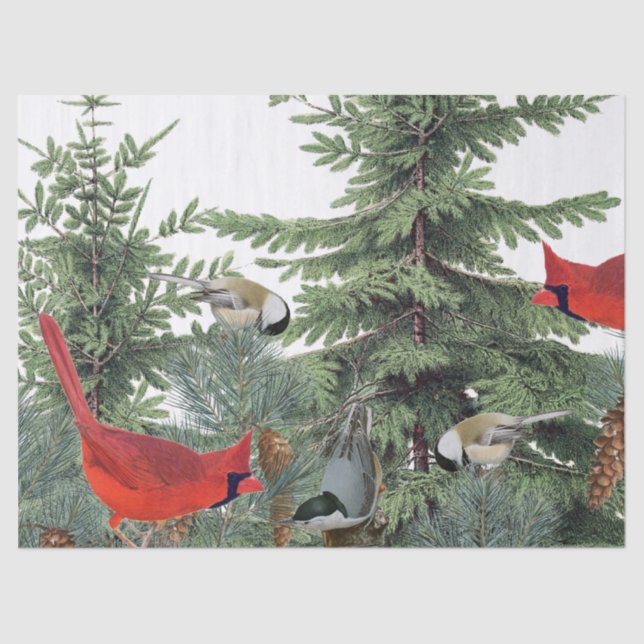 Winter Birds Forest Cardinal Chickadee Nuthatch Tissue Paper (Front)