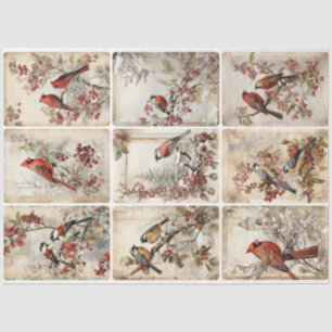 Winter Birds nine Tissue Paper