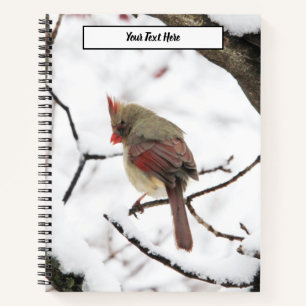 Winter Birds Notebook