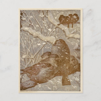 Winter Birds Postcard