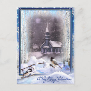 Winter Birds Postcard