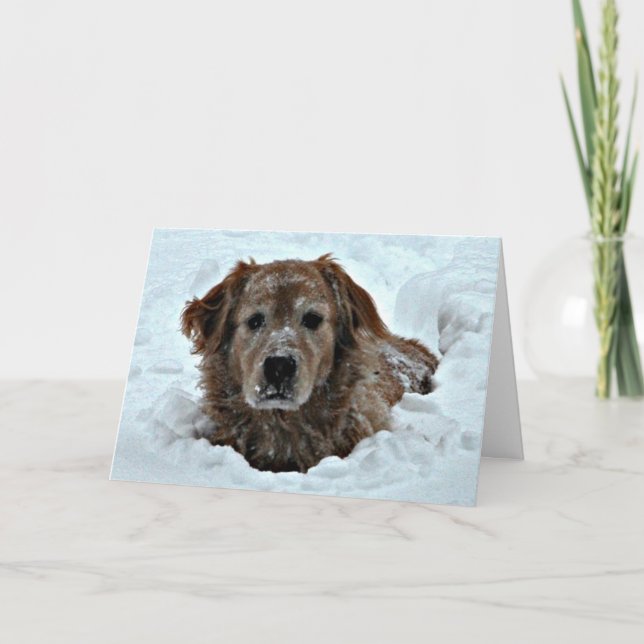 Winter Birthday Humour with Cute Dog Card (Front)