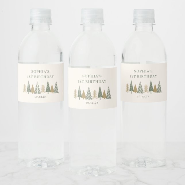 Winter Birthday Party  Water Bottle Label (Bottles)