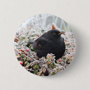 Winter Blackbird 6 Cm Round Badge