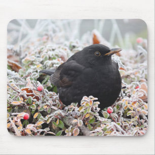 Winter Blackbird Mouse Mat