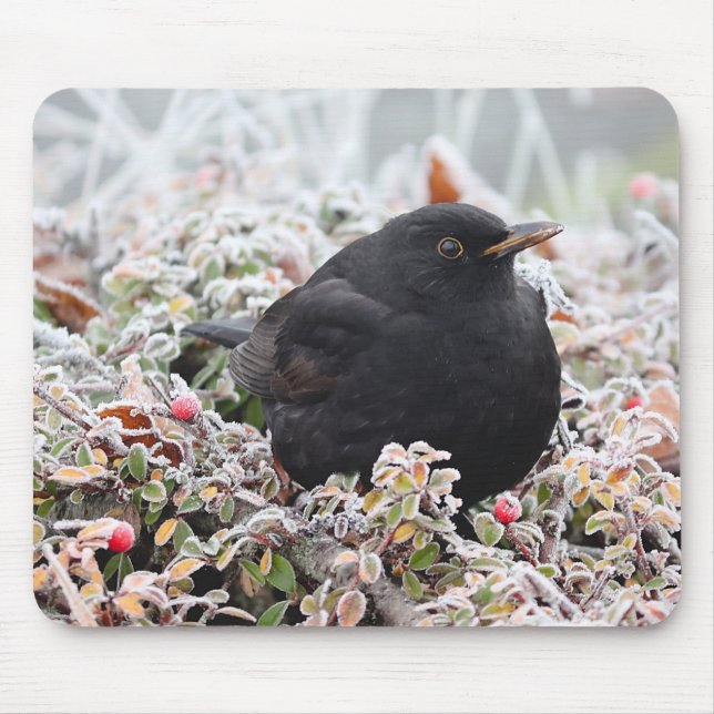 Winter Blackbird Mouse Mat (Front)
