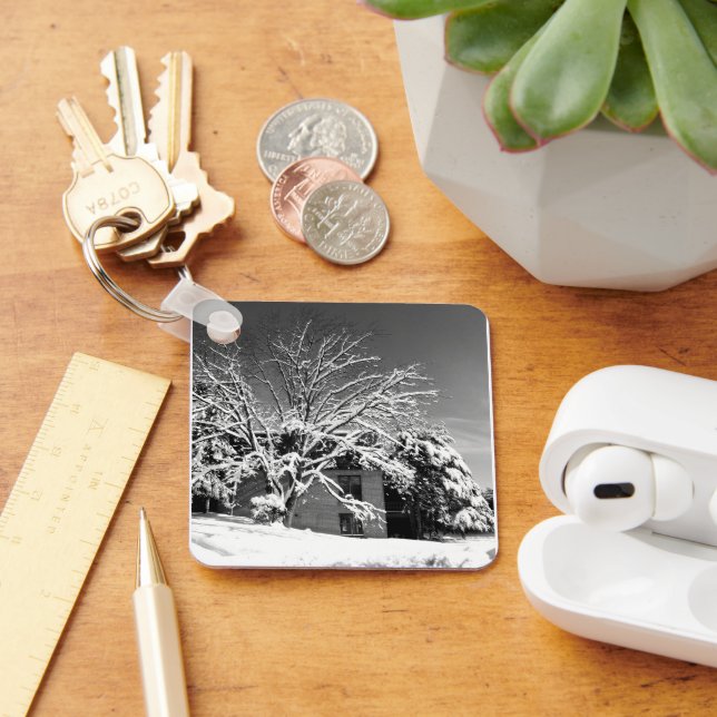 Winter Blast B+W Key Ring (Desk)