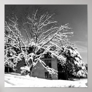 Winter Blast B+W Poster