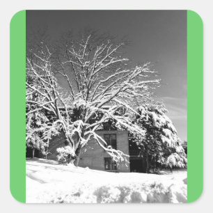 Winter Blast B+W Square Sticker