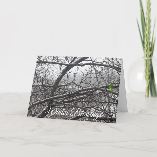 Winter Blessing Holiday Seasons Wishes Card (Front)