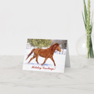 Winter Blizzard Horse Christmas Greeting Card