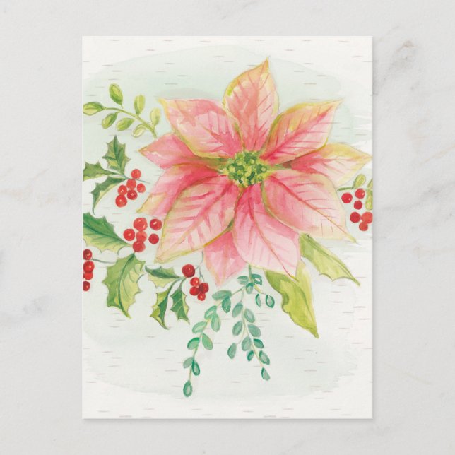 Winter Blooms | Pink Blooming Poinsettia Postcard (Front)