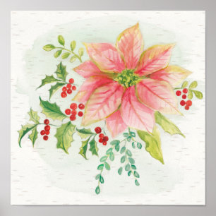 Winter Blooms   Pink Blooming Poinsettia Poster