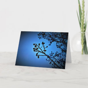 Winter Blue, card