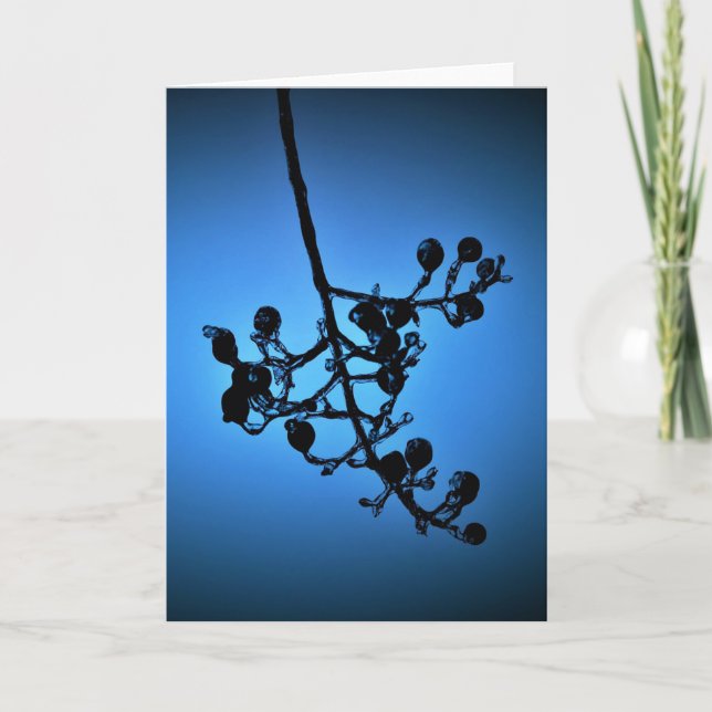 Winter Blue, card (Front)