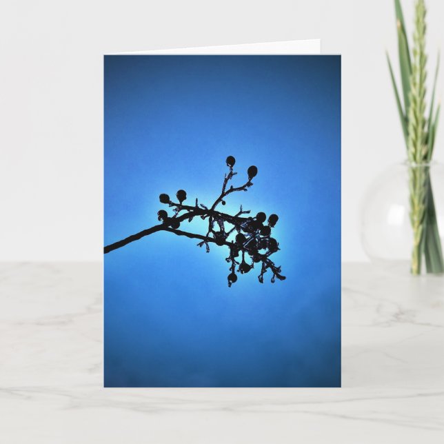Winter Blue, card (Front)