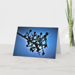 Winter Blue, card