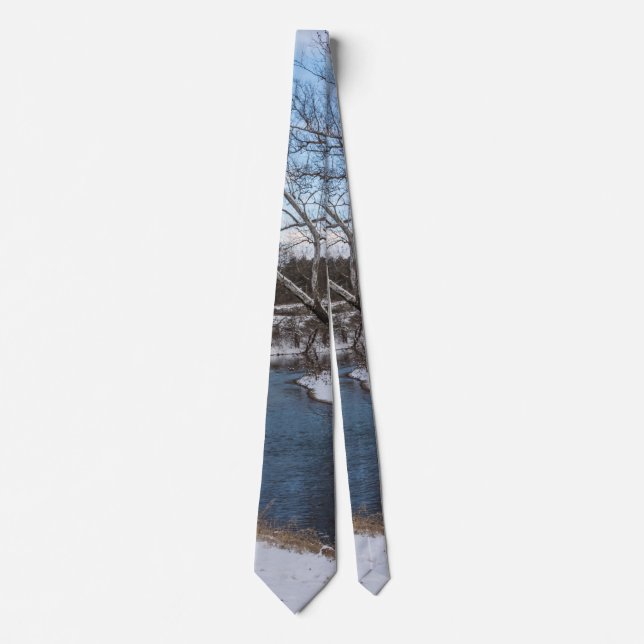 Winter Blue James River Neck Tie (Front)