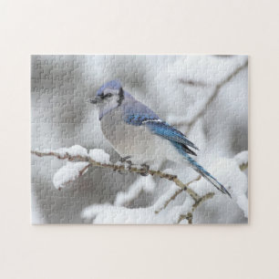 Winter Blue Jay Jigsaw Puzzle