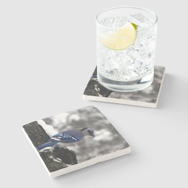 Winter Blue Jay  Stone Coaster (Side)