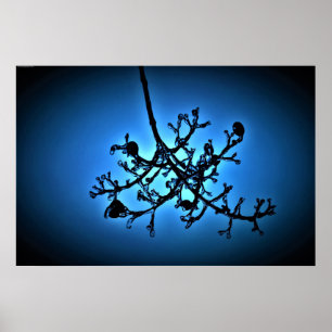 Winter Blue, Poster