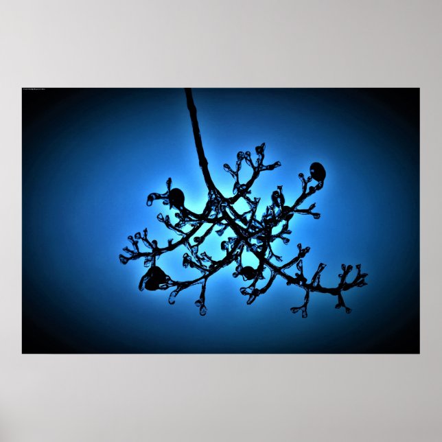 Winter Blue,  Poster (Front)