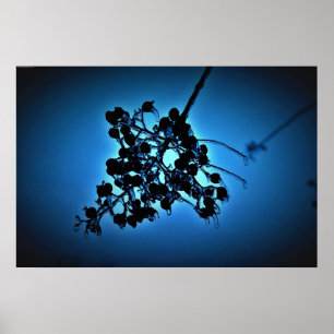 Winter Blue,  Poster