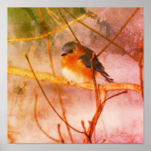 Winter Bluebird Abstract Grunge Poster