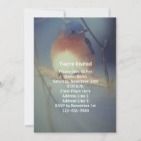 Winter Bluebird Animal Party