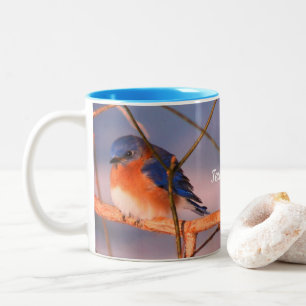 Winter Bluebird Animal Personalised Two-Tone Coffee Mug