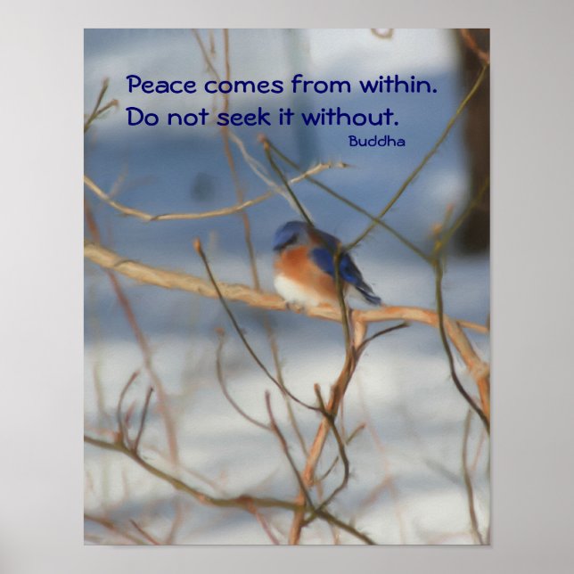 Winter Bluebird Buddha Quote Inspirational Poster (Front)