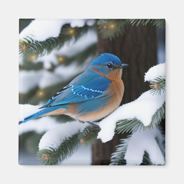 Winter Bluebird Magnet (Front)