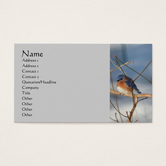 Winter Bluebird Nature Business Card