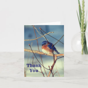 Winter Bluebird Nature Customisable Thank You Card