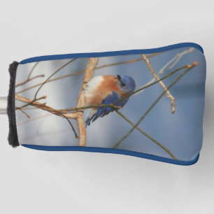 Winter Bluebird Nature Golf Head Cover