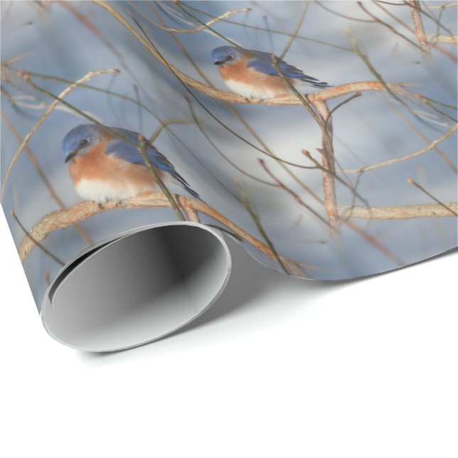 Winter Bluebird Nature Pattern   Wrapping Paper (Roll Corner)