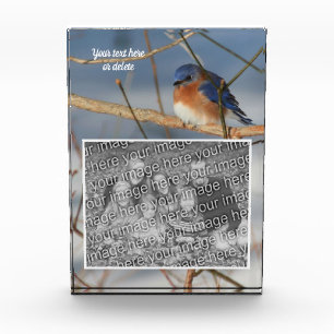 Winter Bluebird Personalised Create Your Own Photo Block