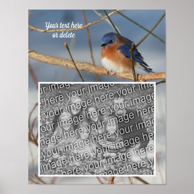 Winter Bluebird Personalised Create Your Own Photo Poster (Front)